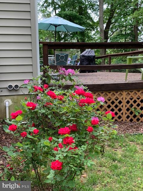 102 East Severn Ridge Road Annapolis, MD 21409 - Photo 47 of 50
