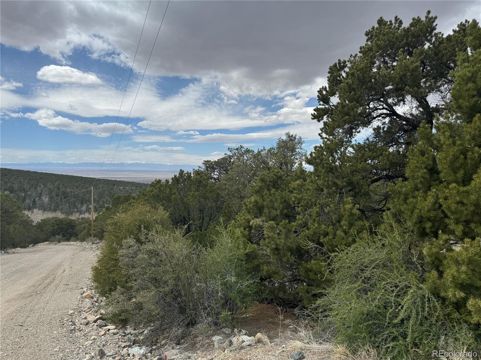 338 Cedar Ridge Road Mosca, CO 81146 - Photo 5 of 16 a view of a yard
