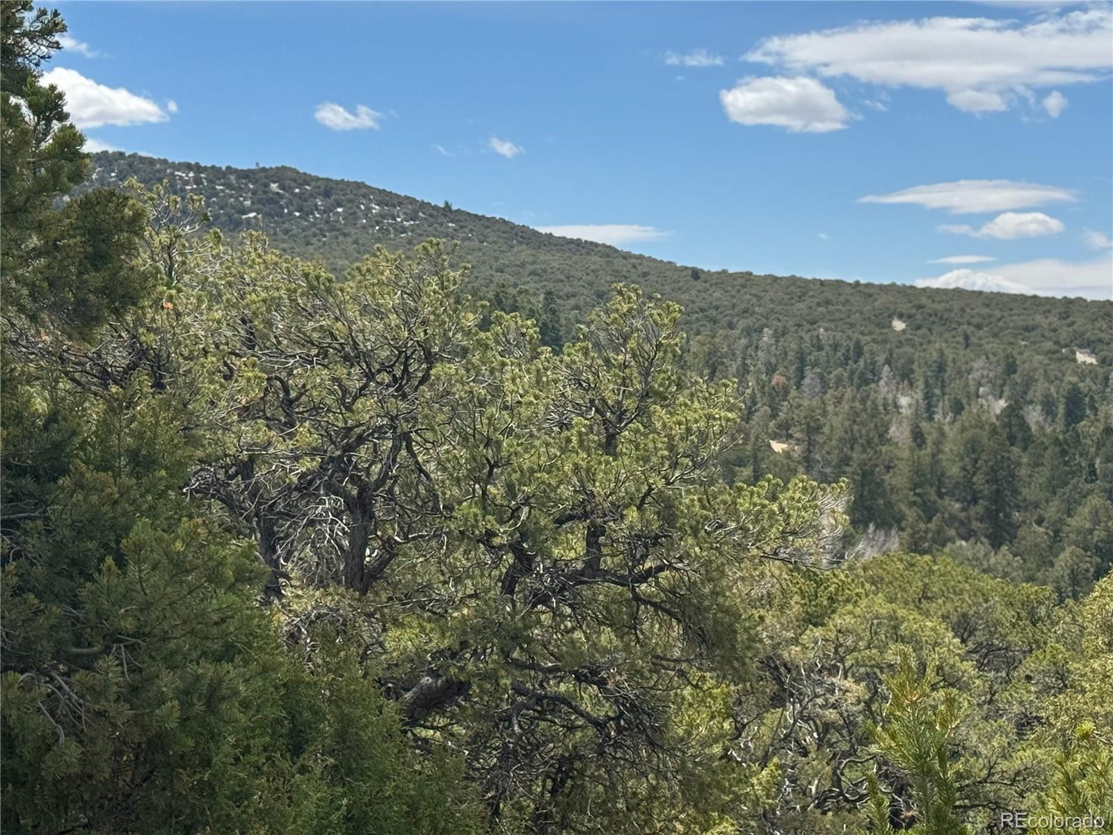 338 Cedar Ridge Road Mosca, CO 81146 - Photo 7 of 16 a view of a sky from a mountain