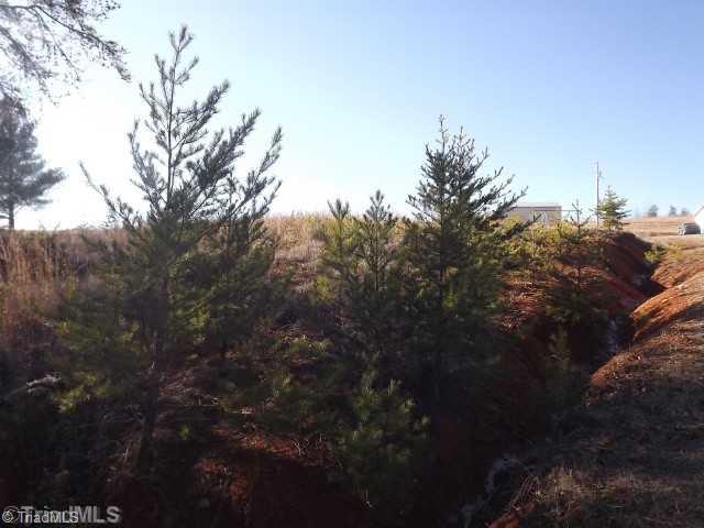 2294 Sizemore Road Germanton, NC 27019 - Photo 2 of 3 Other.