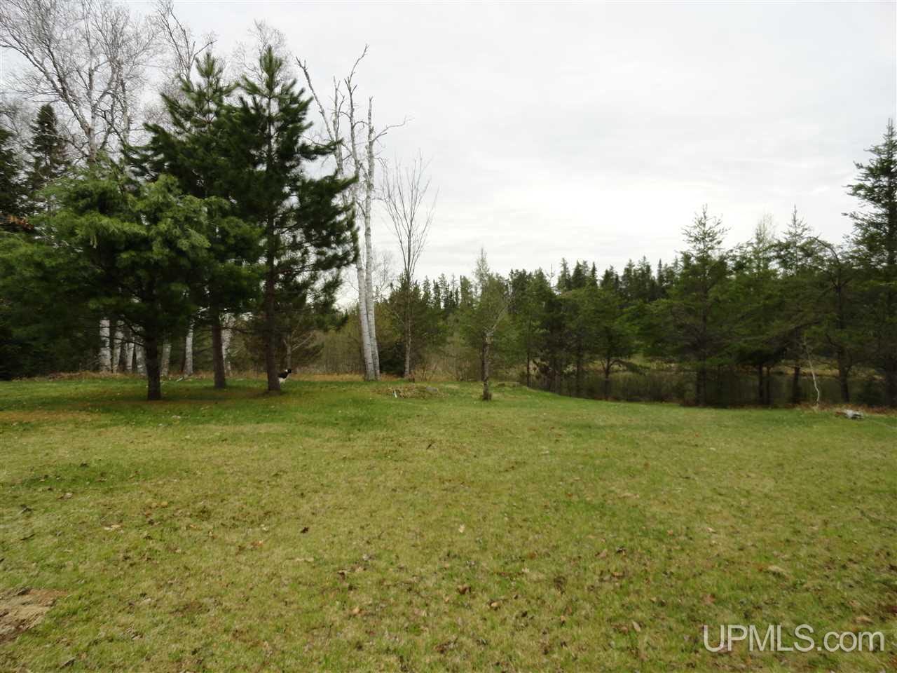 39-acres 39-acres Co Road Ishpeming, MI 49849 - Photo 6 of 39