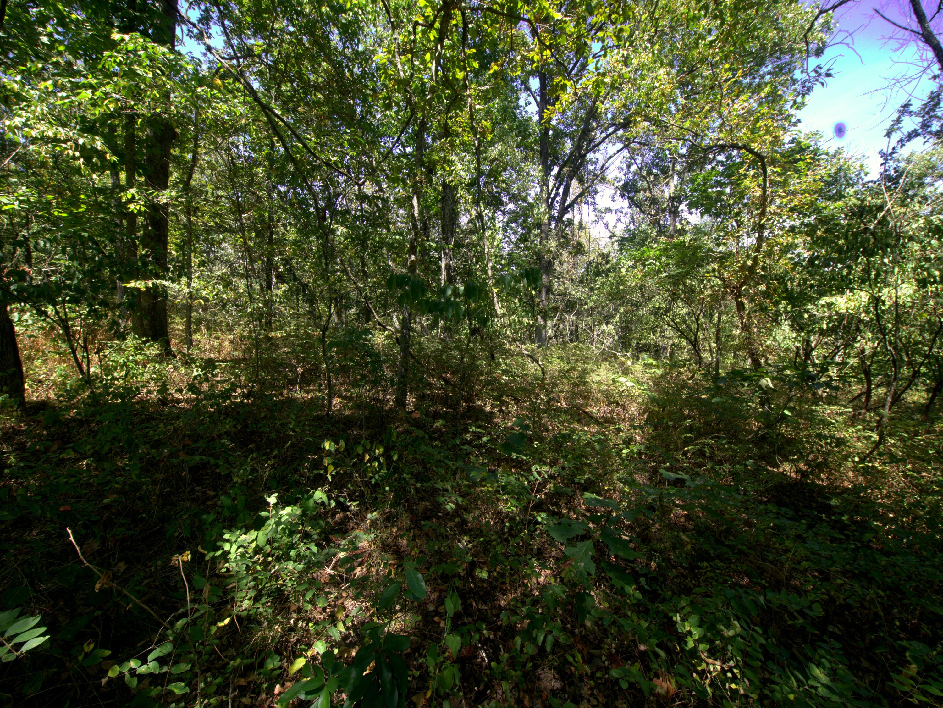 1-2 Simpson Road Urbana, MO 65767 - Photo 21 of 24 Urbana Tract 2 - 12