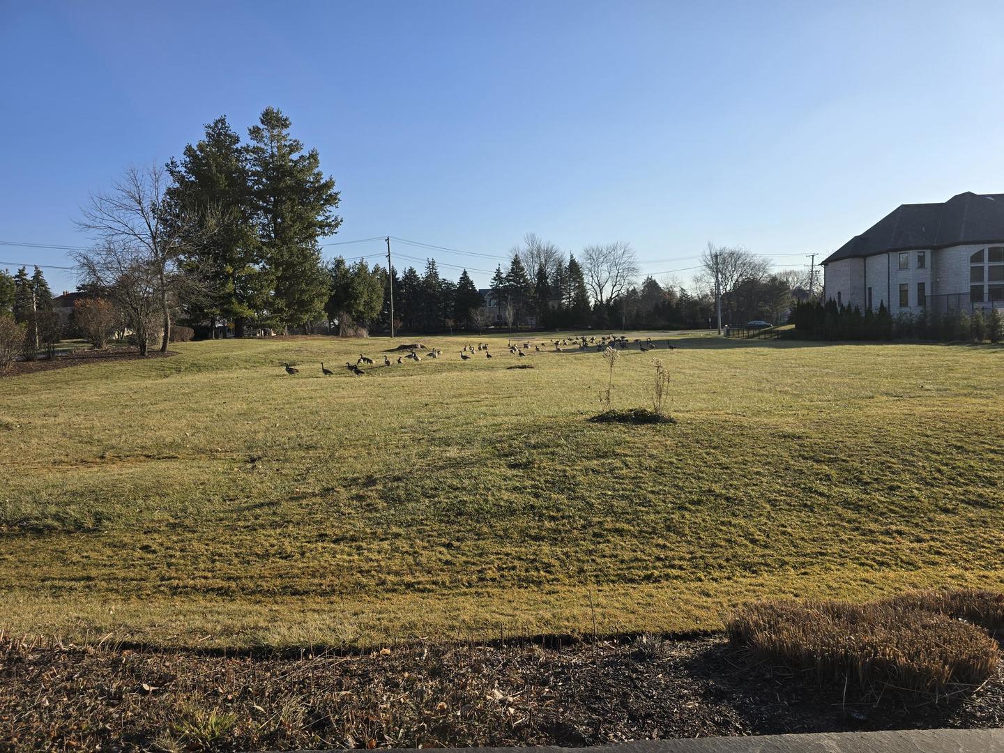 3504 York Road Oak Brook, IL 60523 - Photo 5 of 5 a view of an ocean