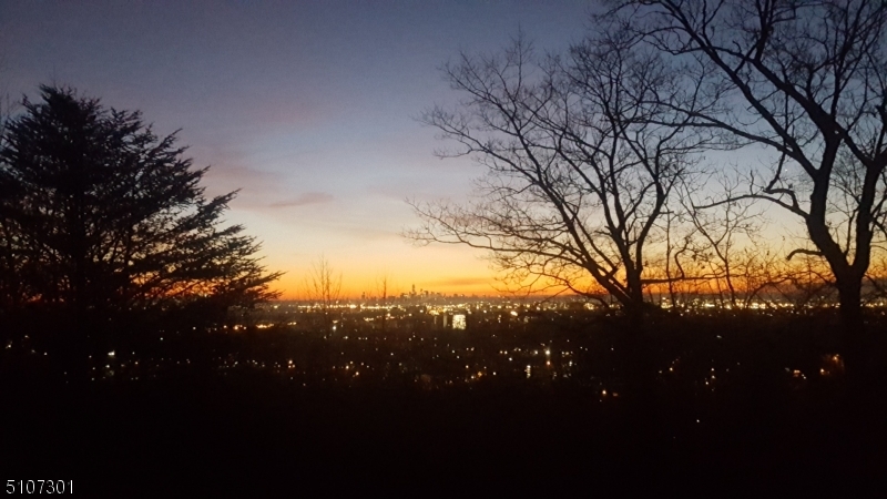 50 Rock Spring Road West Orange, NJ 07052 - Photo 35 of 37 a view of mountain view with lots of trees