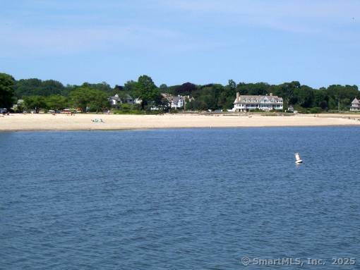 55 Avery Street Stamford, CT 06902 - Photo 27 of 40