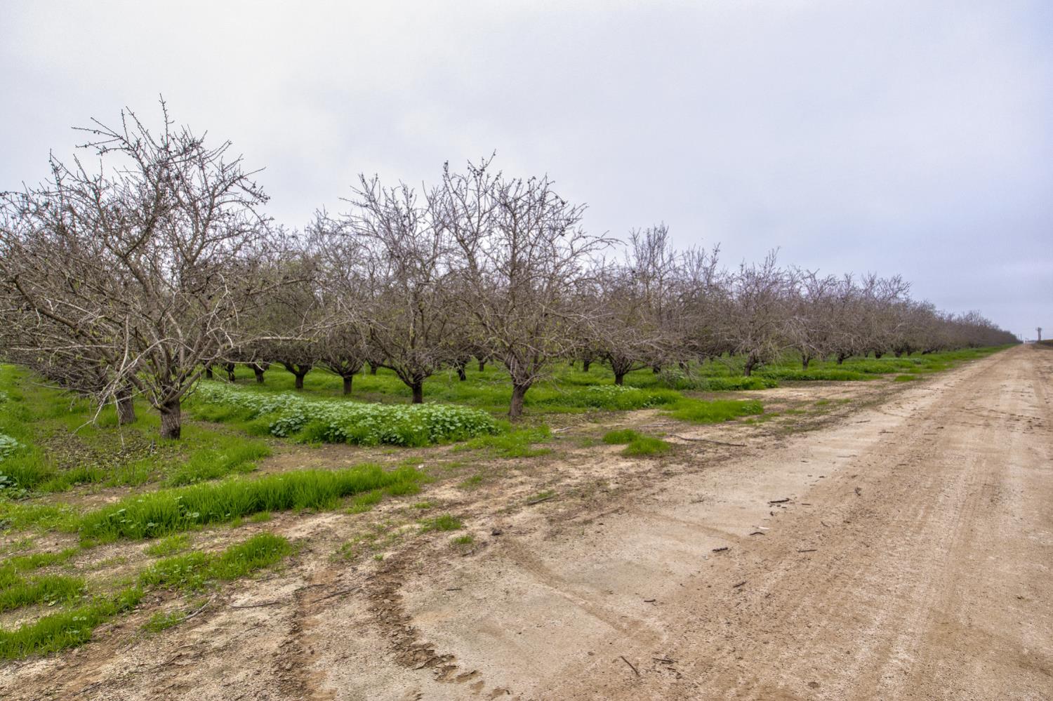 0 Ave 48 & Road Earlimart, CA 93219 - Photo 2 of 16 not sure