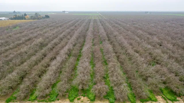 $1,712,100 | 0 Ave 48 & Road, Earlimart, CA 93219