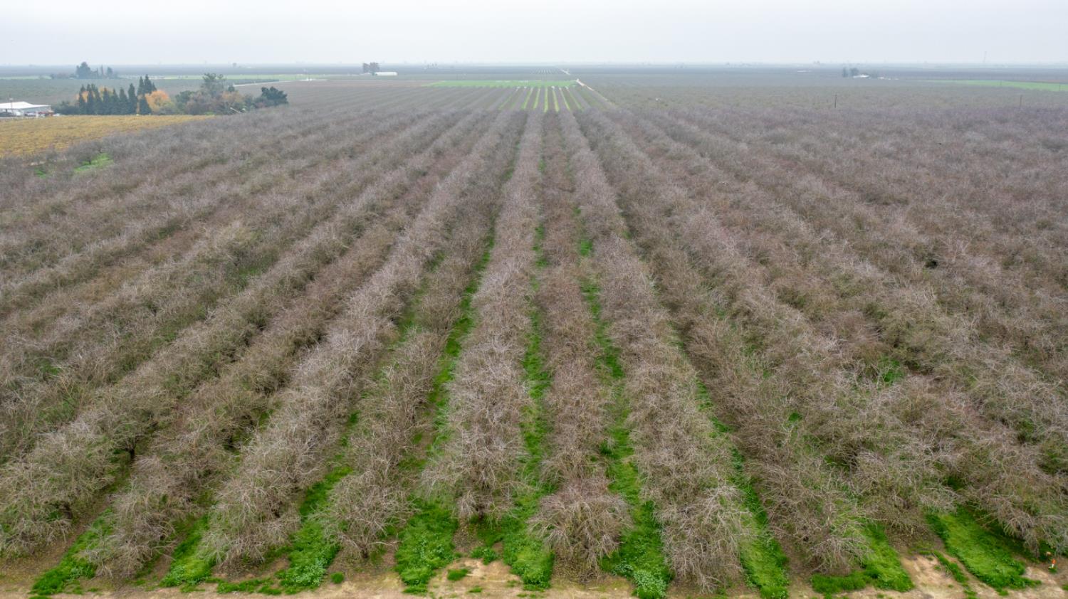 0 Ave 48 & Road Earlimart, CA 93219 - Photo 4 of 16 a view of an outdoor space and deck