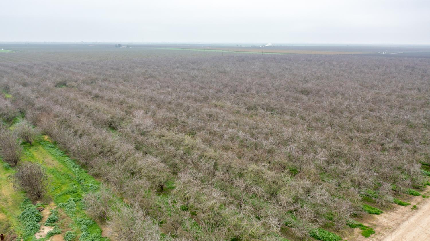 0 Ave 48 & Road Earlimart, CA 93219 - Photo 7 of 16