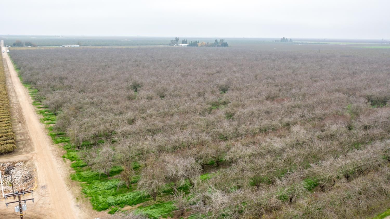 0 Ave 48 & Road Earlimart, CA 93219 - Photo 8 of 16 a view of a field with trees in background