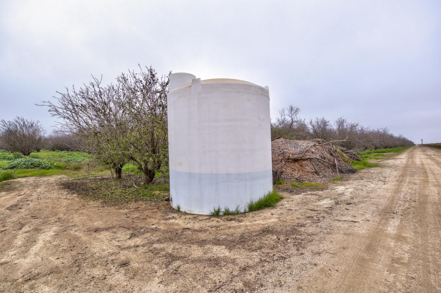 0 Ave 48 & Road Earlimart, CA 93219 - Photo 10 of 16 a view of a dry yard with large trees