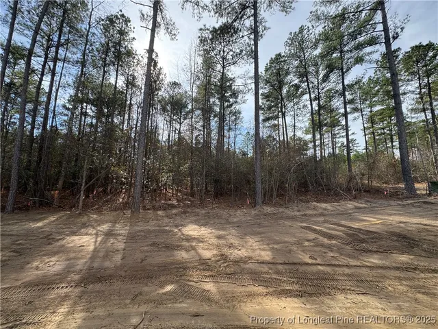 a view of a yard with trees