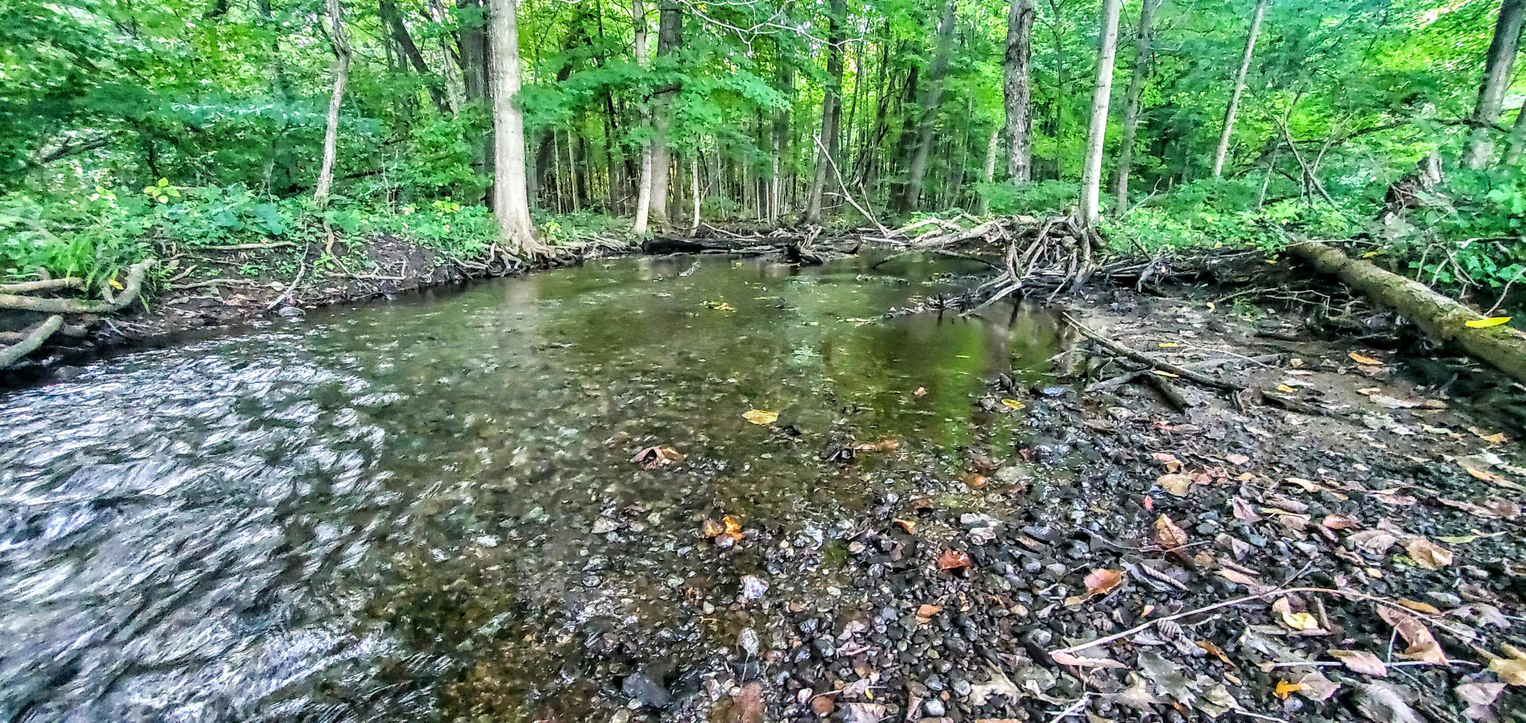 2260 Allen Road Allen, MI 49227 - Photo 53 of 69 20220919_185431
