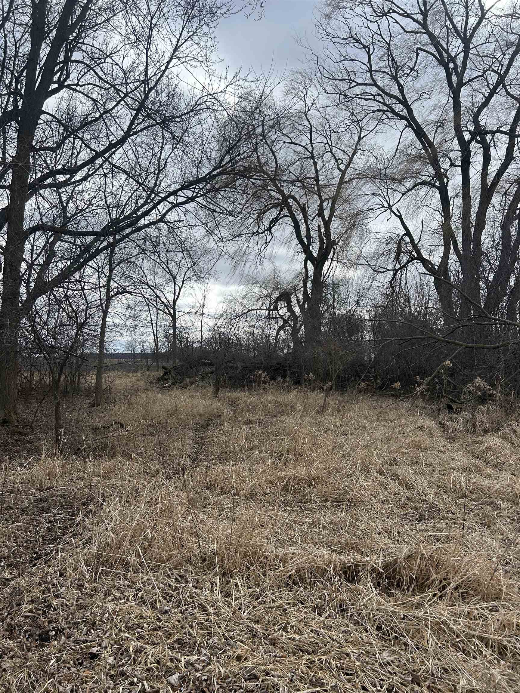 V/l(9000 North Winans Road Alma, MI 48801 - Photo 4 of 9