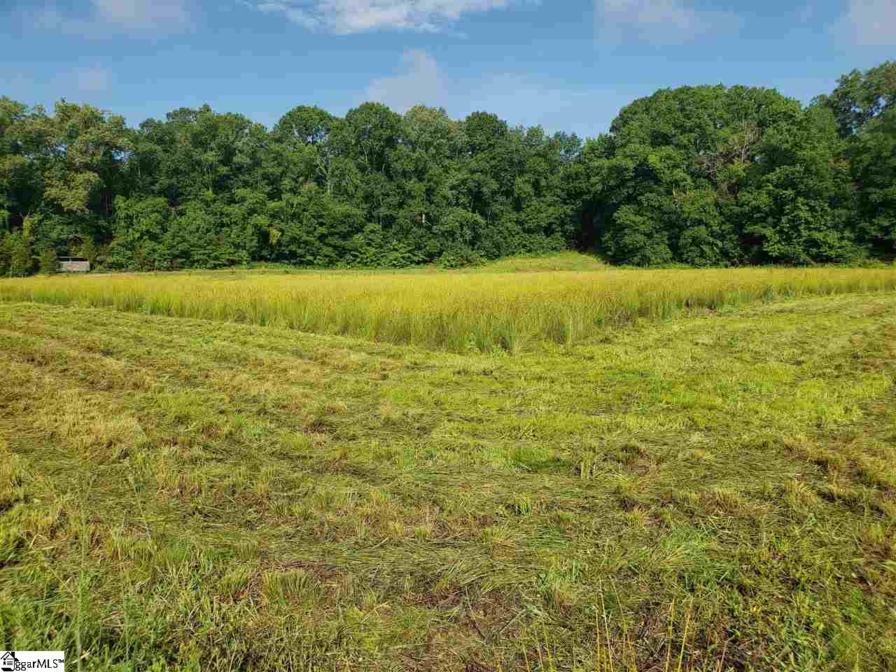 1120 Bucklevel Road Greenwood, SC 29649 - Photo 10 of 24 Gallery Image 10