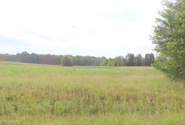 1020 Marvin Hedrick Road Lexington, NC 27292 - Photo 3 of 4 Gallery Image 3