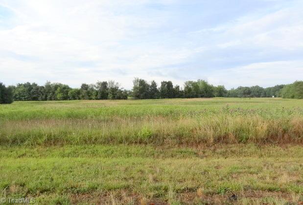 1020 Marvin Hedrick Road Lexington, NC 27292 - Photo 4 of 4 Gallery Image 4