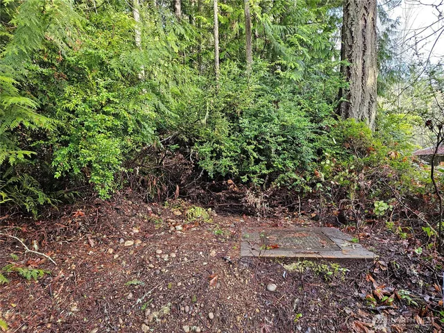 a view of a yard with plants and trees