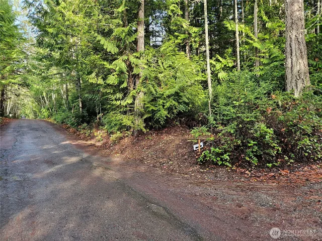 a view of a yard with a plant