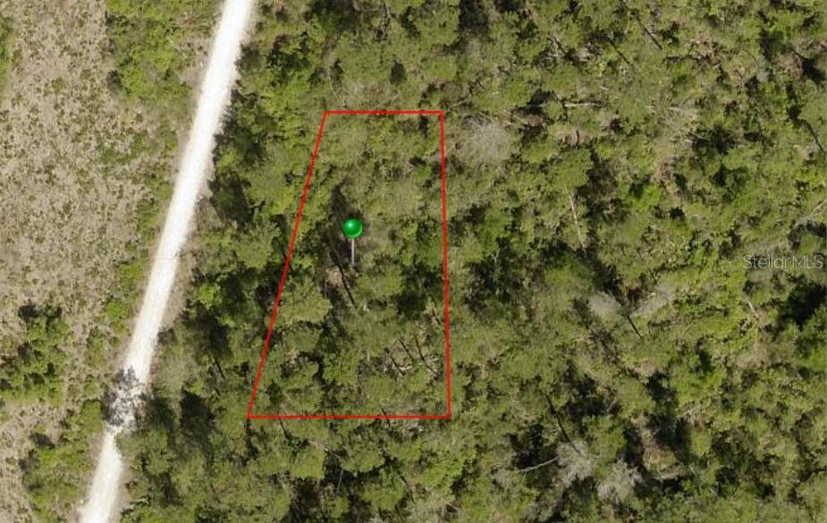 18 & 19 DeLand, FL 32720 - Photo 1 of 1 a view of a forest