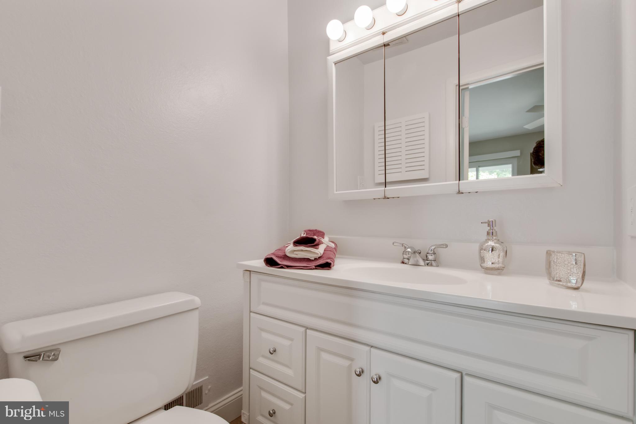 1743 Wainwright Drive Reston, VA 20190 - Photo 14 of 29 Bath