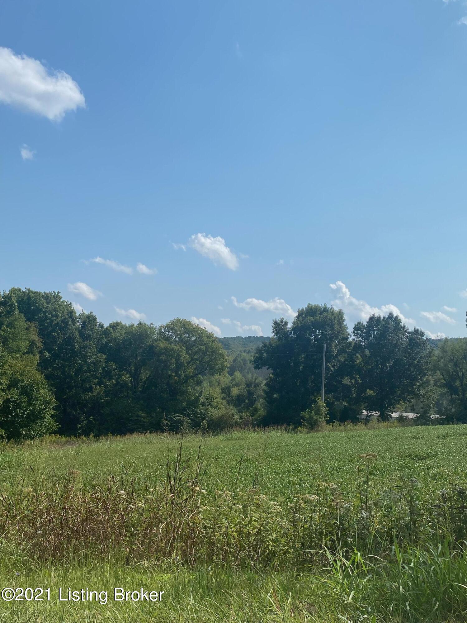 0 Green Farms Road Falls Of Rough, KY 40119 - Photo 1 of 4 image4 (1)