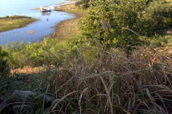 $45,000 | Tbd Summer Wind Drive, Brownwood, TX 76801