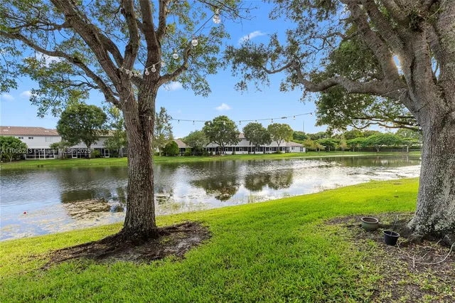 a view of a lake with a tree in front of it