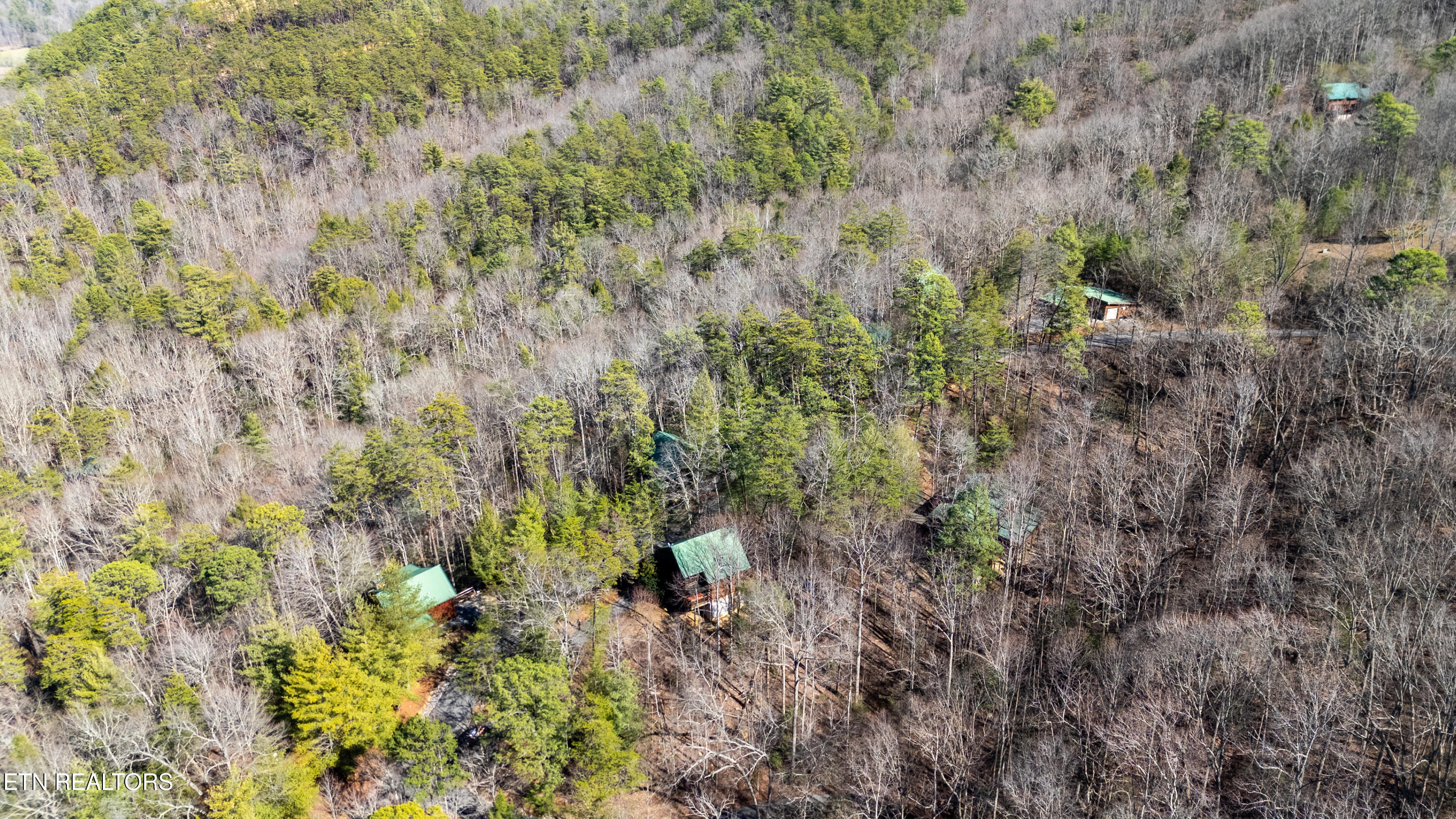 3040 Brothers Way Pigeon Forge, TN 37862 - Photo 38 of 44 55