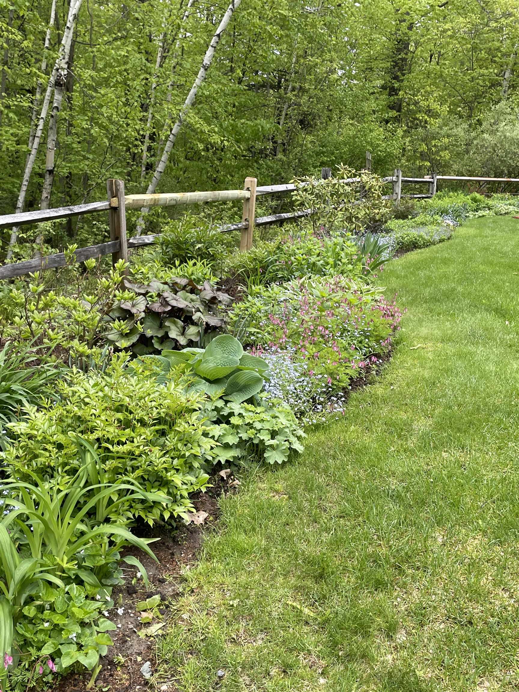 9 Birchview Terrace Hanover, NH 03750 - Photo 3 of 41