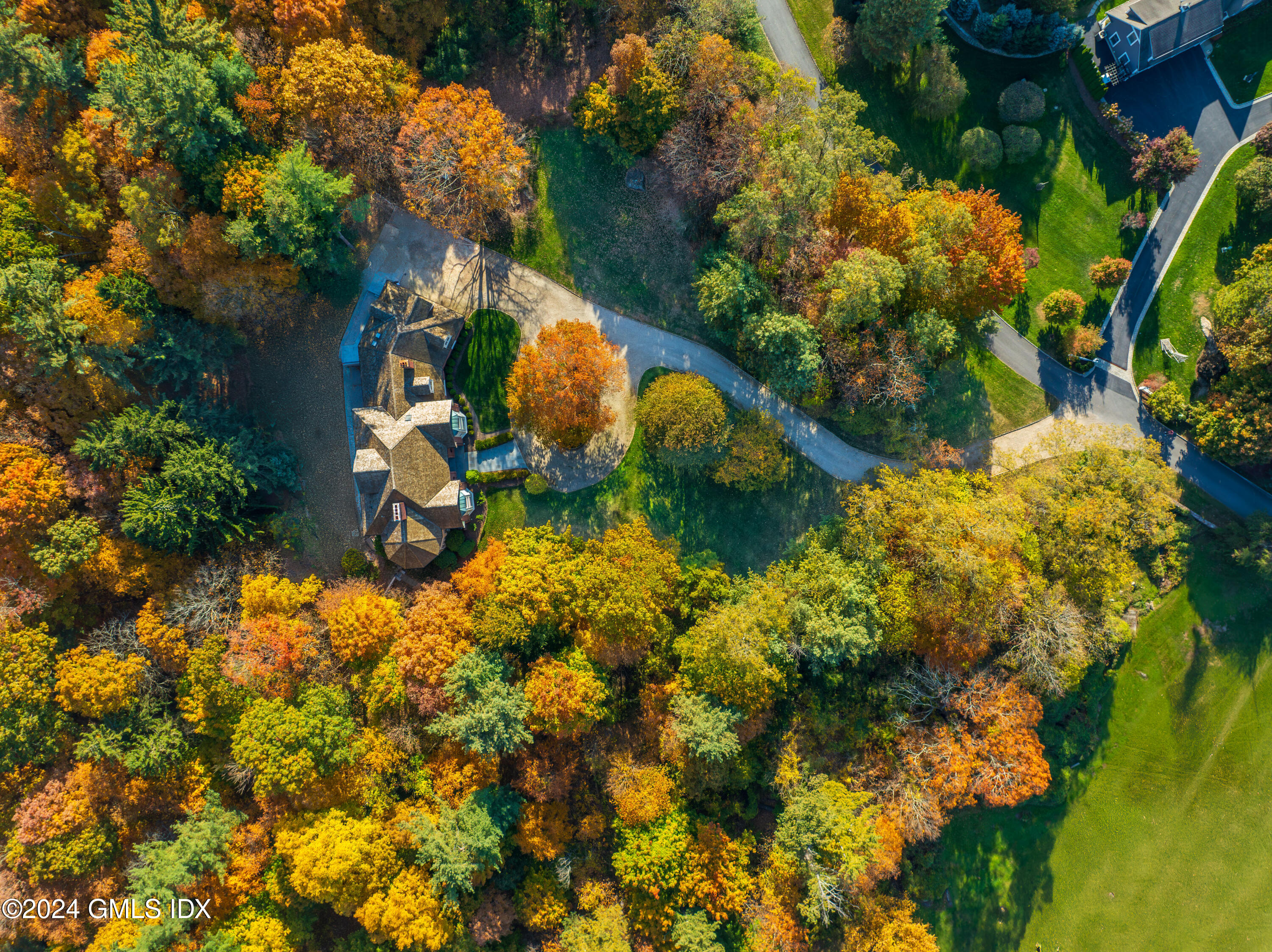 534 Stanwich Road Greenwich, CT 06831 - Photo 25 of 30 a view of a tree