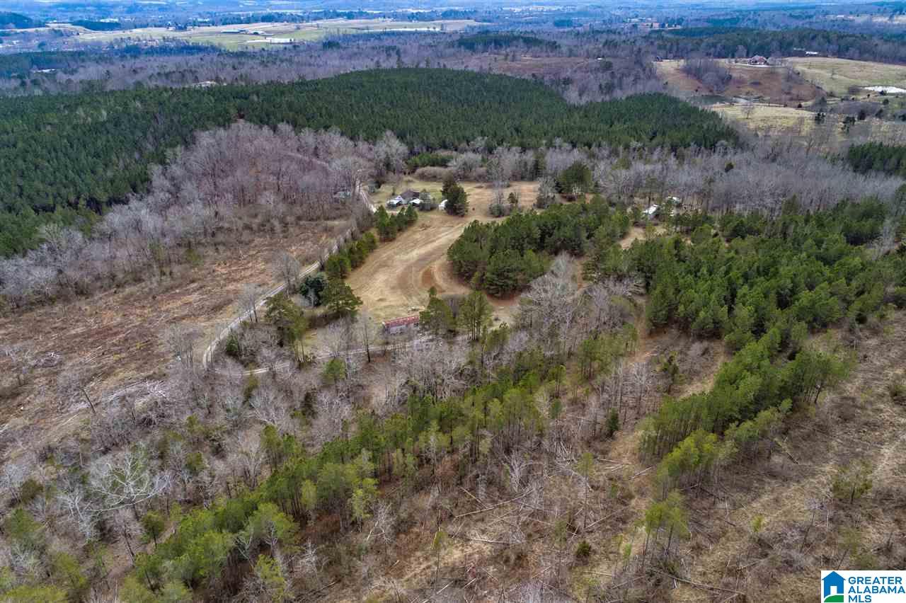 620 Chief Albert Road Blountsville, AL 35031 - Photo 8 of 15