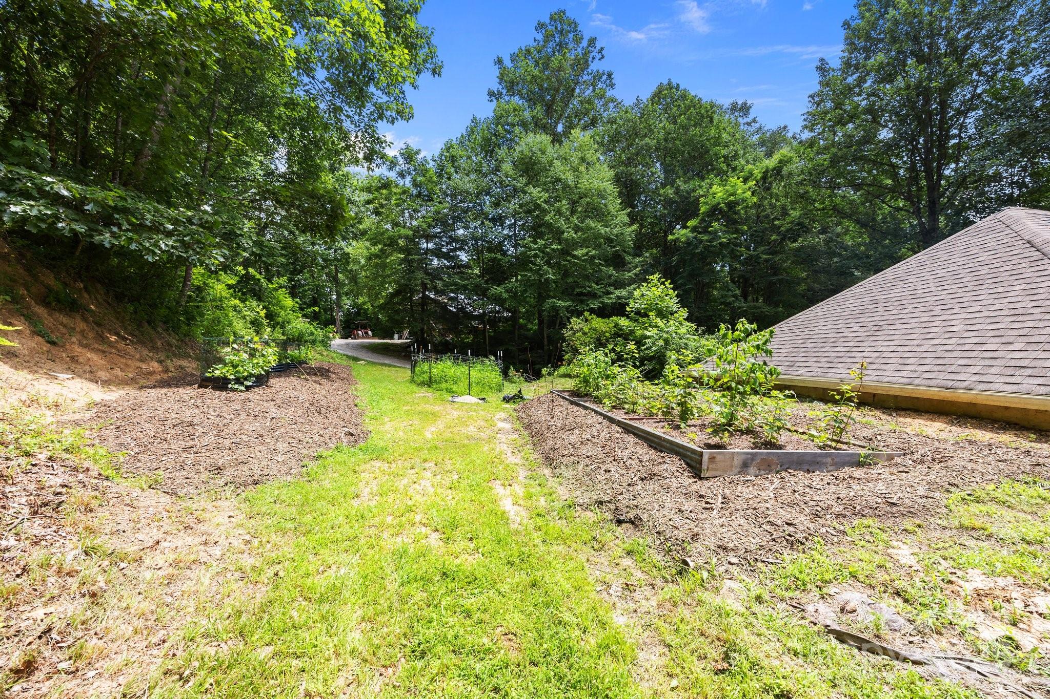 235 Kinder Lane Canton, NC 28716 - Photo 45 of 48 a view of a backyard with large trees