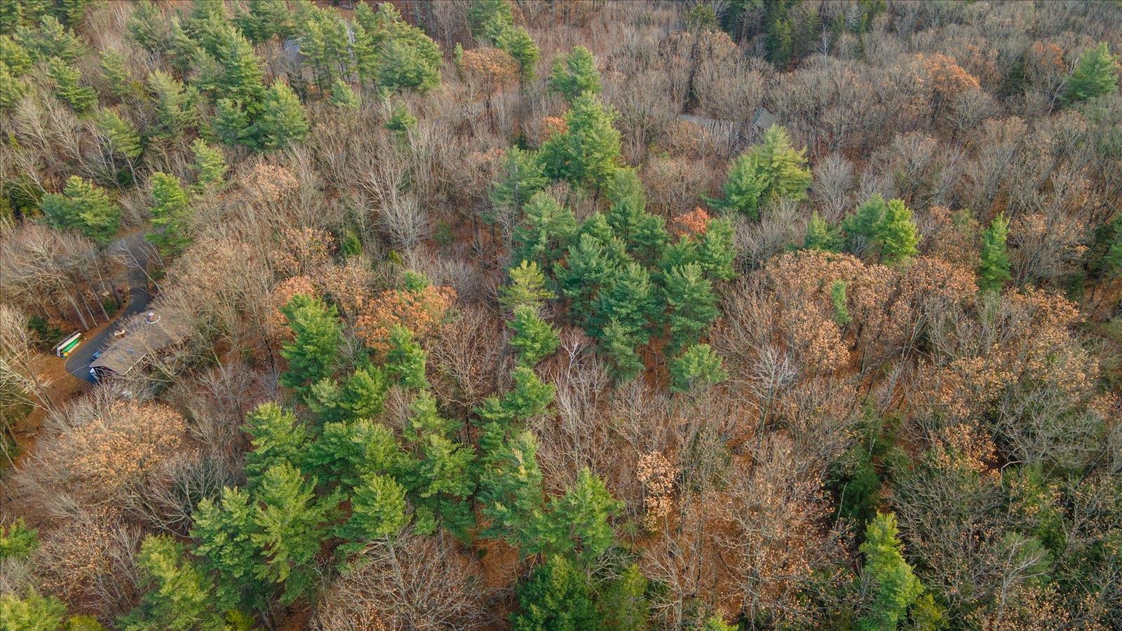 166 Prospect Hill Road Hancock, NH 03449 - Photo 2 of 10