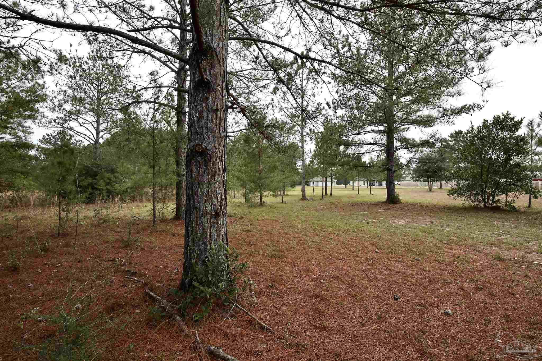 Tbd-lot 1 Permenter Road Milton, FL 32583 - Photo 20 of 31