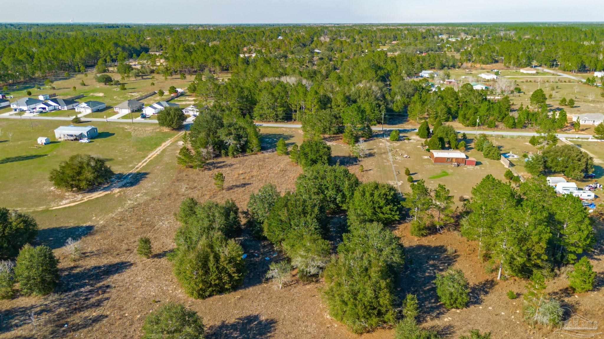 Tbd-lot 1 Permenter Road Milton, FL 32583 - Photo 8 of 31