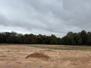 1022 Colt Road Springtown, TX 76082 - Photo 15 of 16