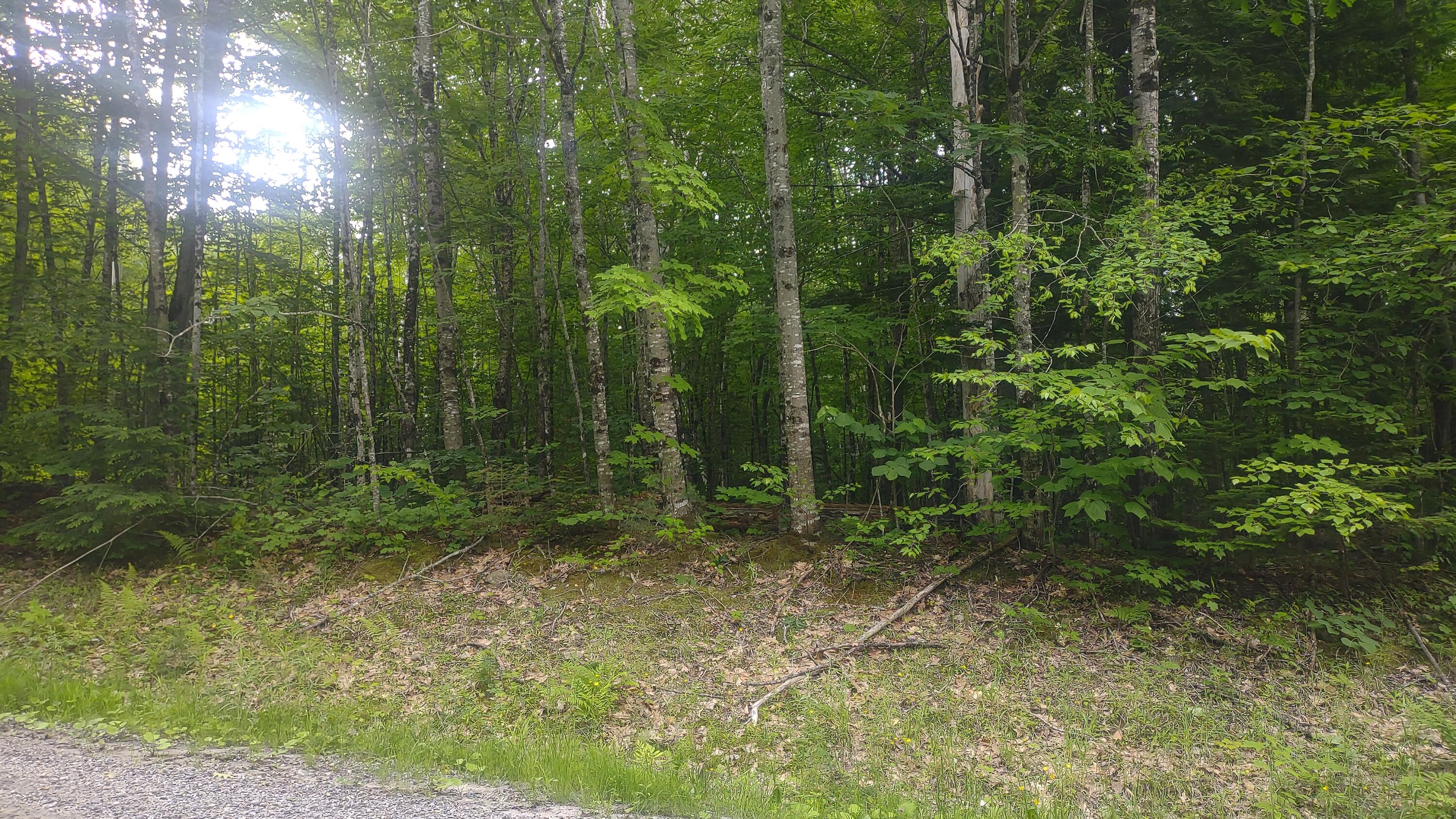 Tbd Stream Road Vienna, ME 04360 - Photo 2 of 7 1000006962