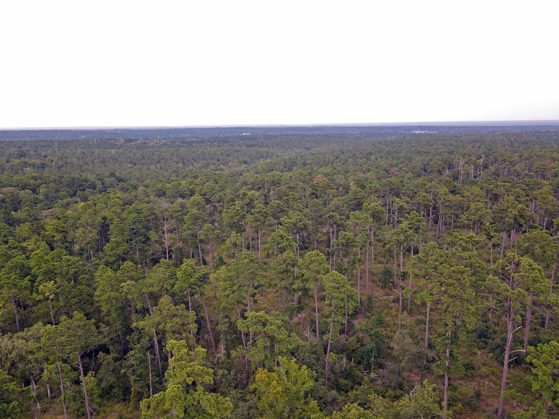 8301 State Highway East Centerville, TX 75833 - Photo 12 of 40 an aerial view of house with yard and mountain view in back