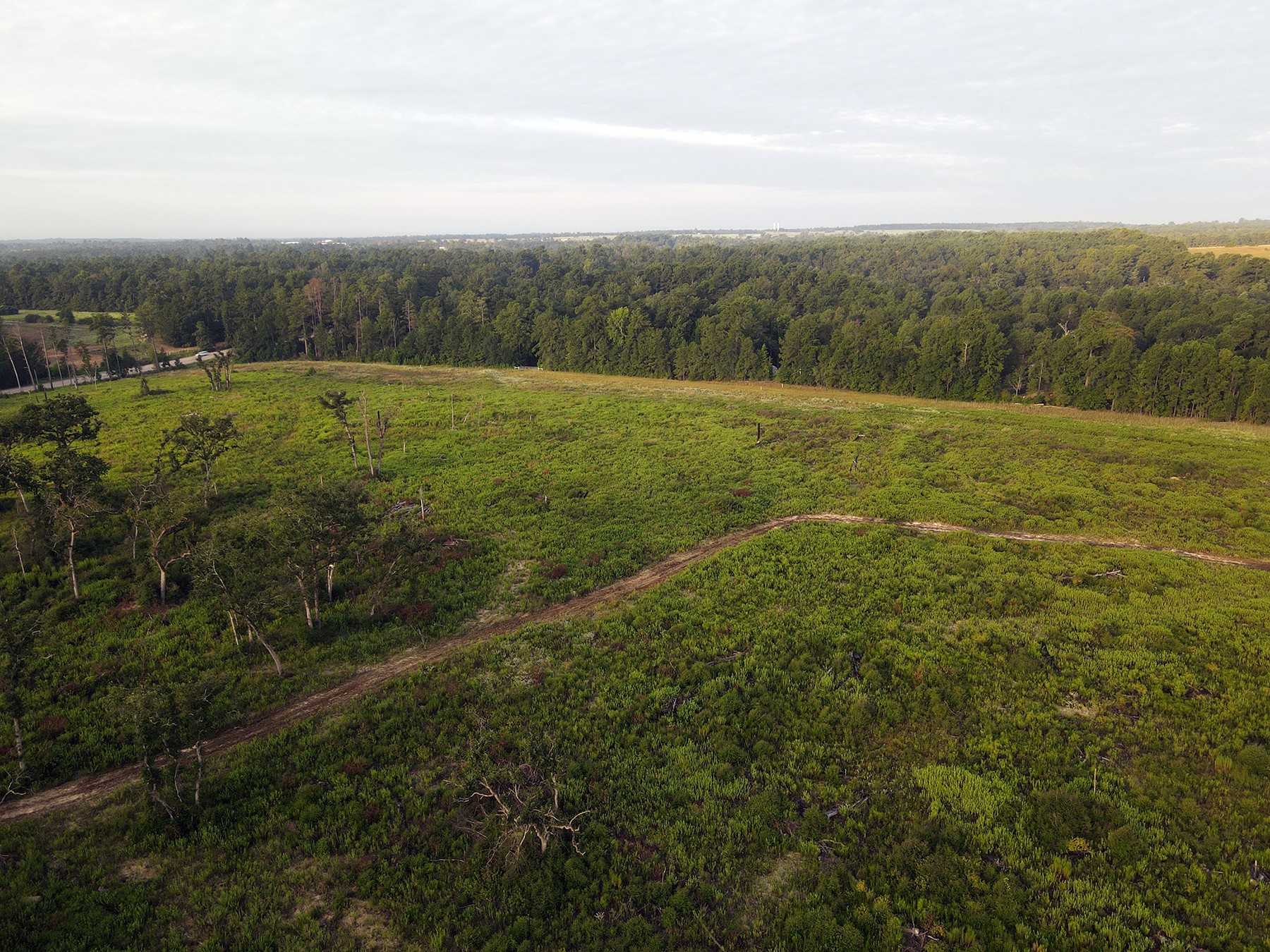 8301 State Highway East Centerville, TX 75833 - Photo 21 of 40 a view of an outdoor space and a yard