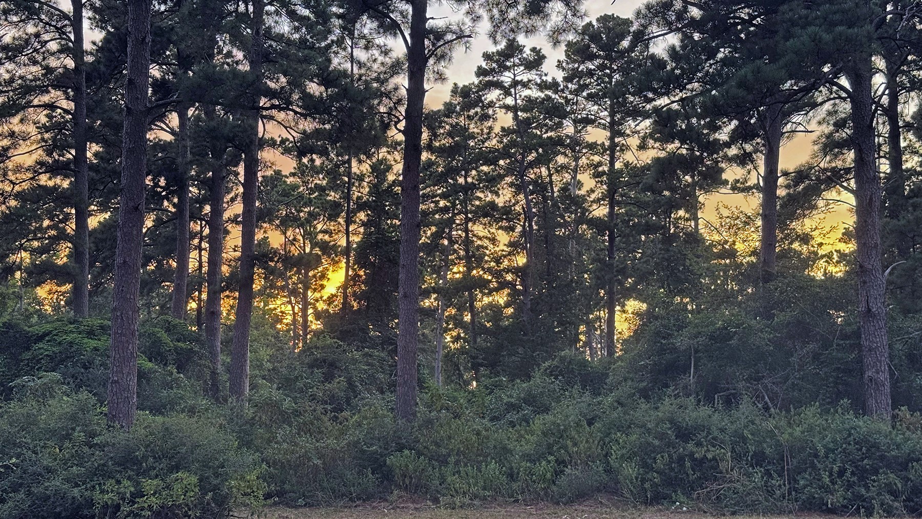 8301 State Highway East Centerville, TX 75833 - Photo 30 of 40