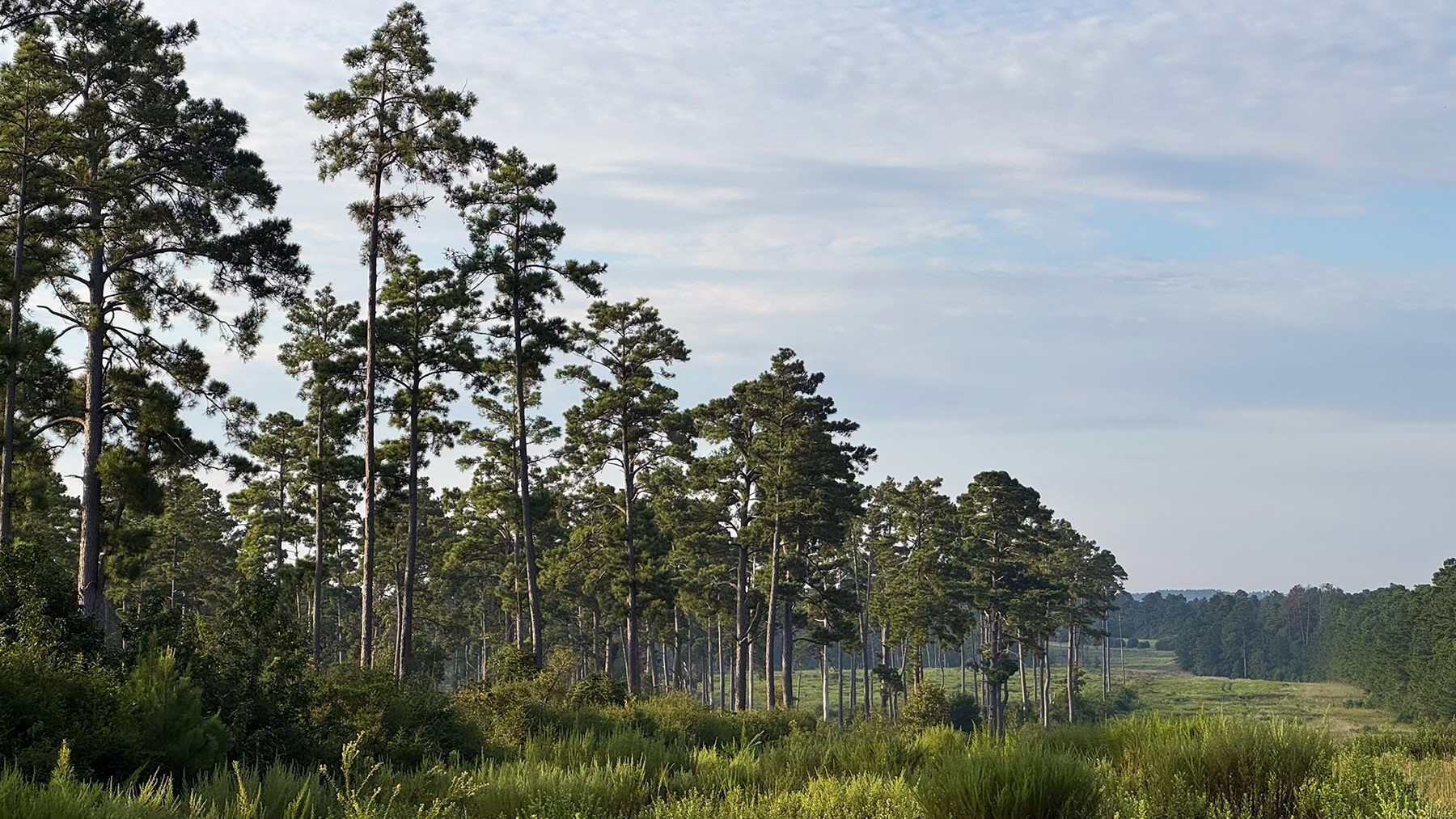 8301 State Highway East Centerville, TX 75833 - Photo 33 of 40 a view of a lake