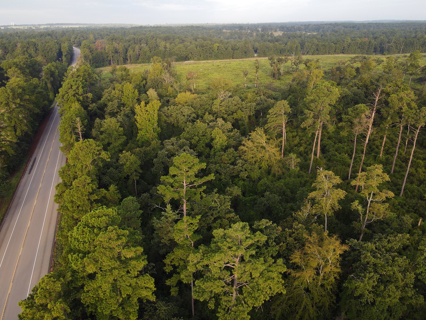 8301 State Highway East Centerville, TX 75833 - Photo 6 of 40 a view of a forest with a lake