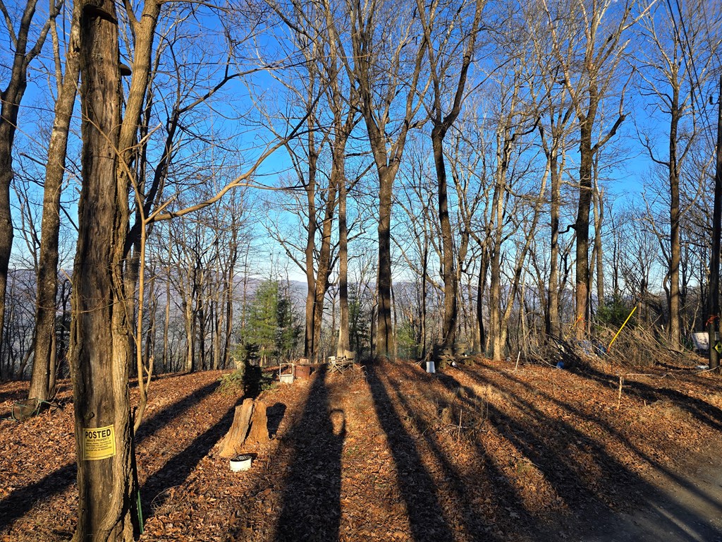 10754 Tatum Lead Road Chatsworth, GA 30705 - Photo 3 of 10 Gallery Image 3