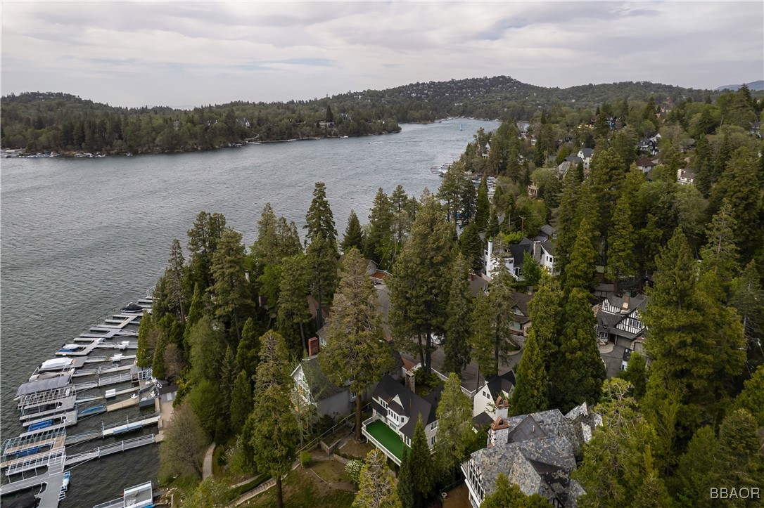 313 John Muir Road Lake Arrowhead, CA 92352 - Photo 38 of 38 Gallery Image 38