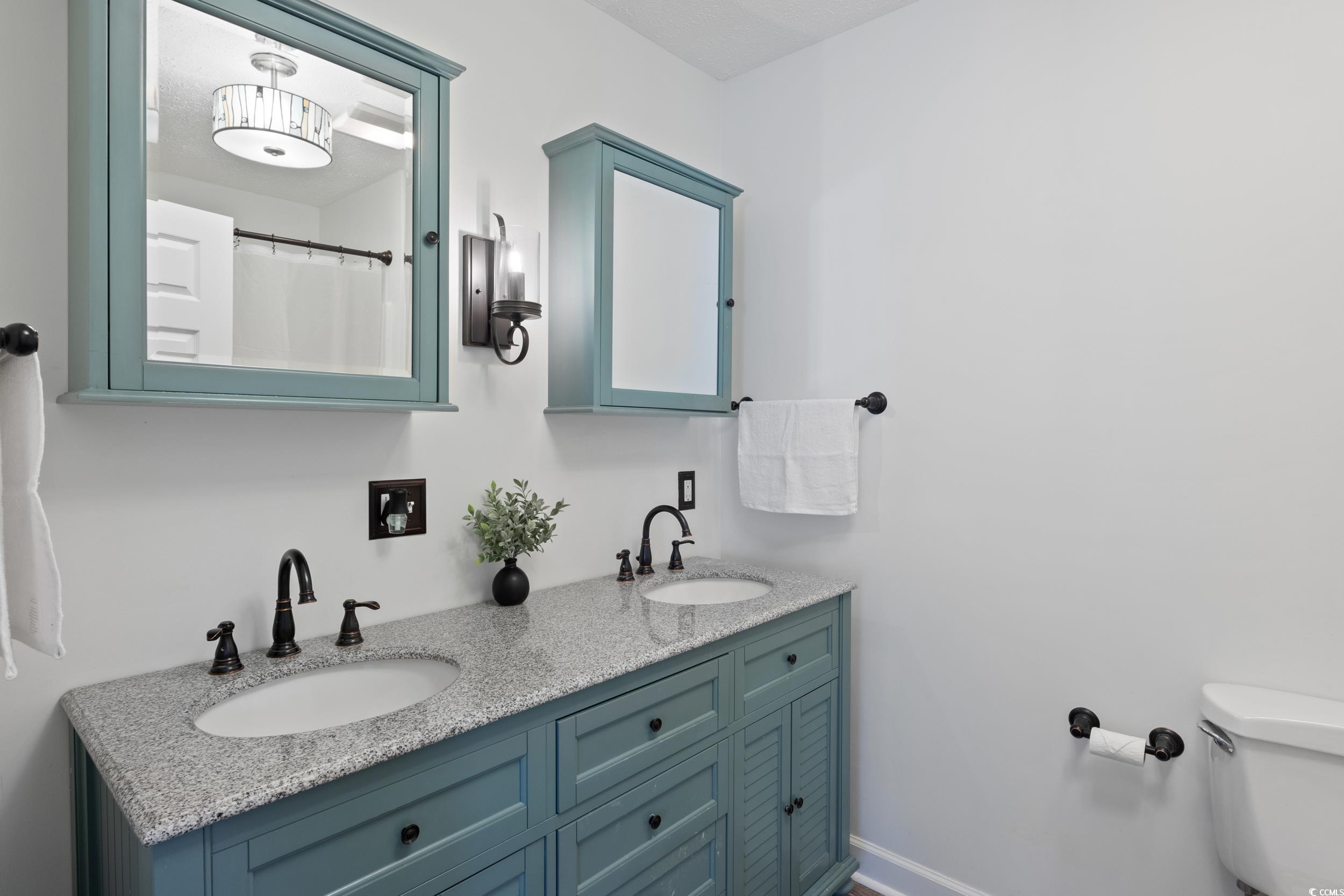 5933 Rahnavard Boulevard Myrtle Beach, SC 29588 - Photo 15 of 25 Bathroom featuring toilet and vanity