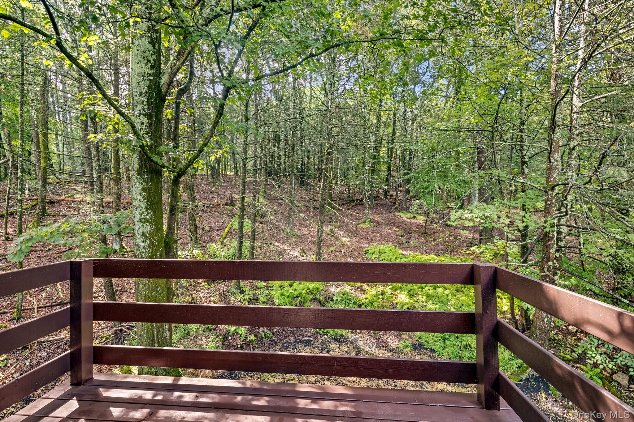 53 West Corbett Road Montgomery, NY 12549 - Photo 15 of 41 Juliet balcony off the primary suite Level 4