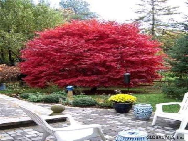 16 Maxwell Road Latham, NY 12110 - Photo 30 of 30 Photo 30