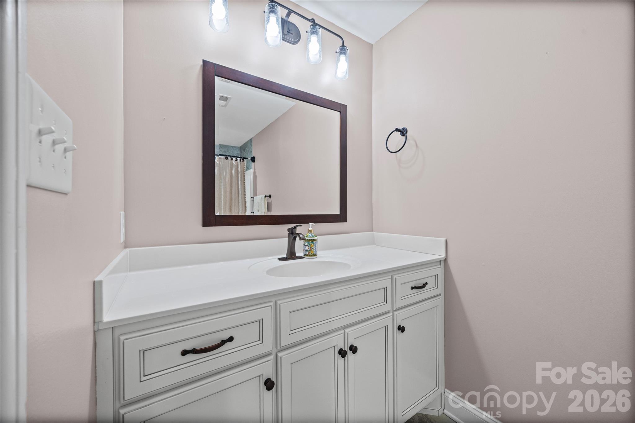 790 Brandon Road Clover, SC 29710 - Photo 33 of 43 a bathroom with a sink vanity and mirror