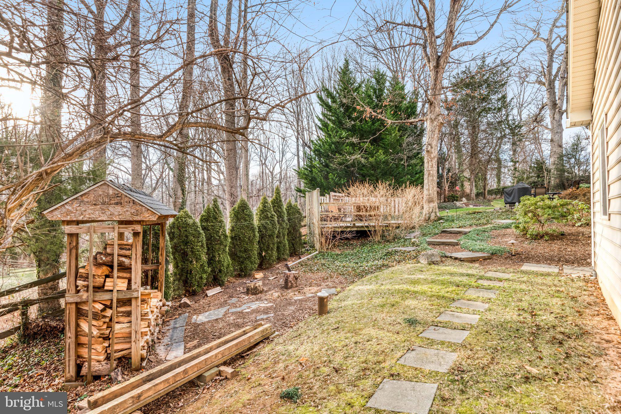 10111 Evans Ford Road Manassas, VA 20111 - Photo 28 of 35 a view of a yard with plants and large trees